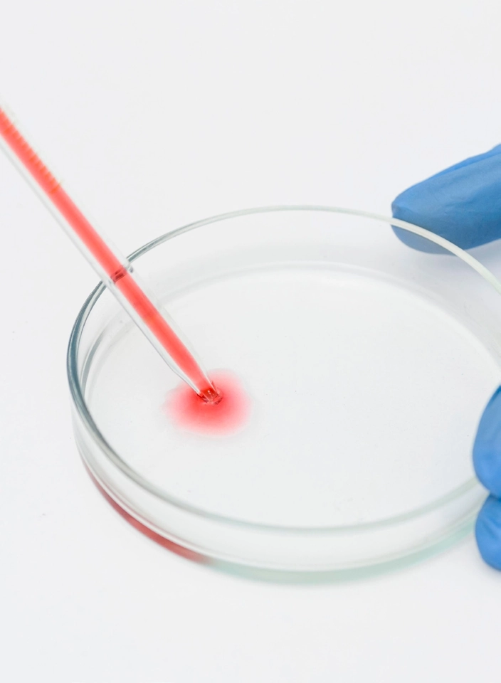 Photo credit: Freepik